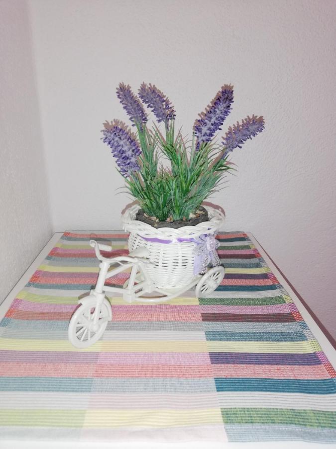 Apartment Pecarevic - A Holiday With A Stunning View Vis Esterno foto
