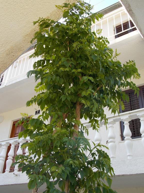 Apartment Pecarevic - A Holiday With A Stunning View Vis Esterno foto